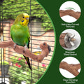 6-Piece Premium Bird Perch Stand with Natural Grape Wood Branch, Paw Grinding Fork, Chewing Stick, Cage Accessories for 