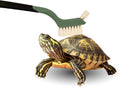 Turtle Cleaning Brush Remove Aquatic Mud, Dirt, & Contaminants from Tortoises Shells & Promoting Shell Health - Goat Hai