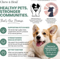 Chew + Heal Labs Glucosamine for Dogs Hip and Joint Supplement - 60 Senior Dogs Mobility Soft Chews - Made with Glucosamine, MSM, Chondroitin, Green Lipped Mussels and More - Made in The USA