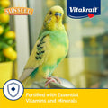 Sunseed Vita Prima Parakeet Food 2 lb - Grains Seeds Vegetables Fruits and Live Micro Organisms Delivering Wholesome Daily Nutrition and Foraging Variety Your Parakeet Deserves