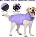 Petglad Waterproof Dog Winter Coat, Warm Fleece Snow Jacket with Leash Hole