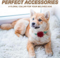 Dog Collar Flowers, Pet Flower Charms Soft Chiffon Cat Collar