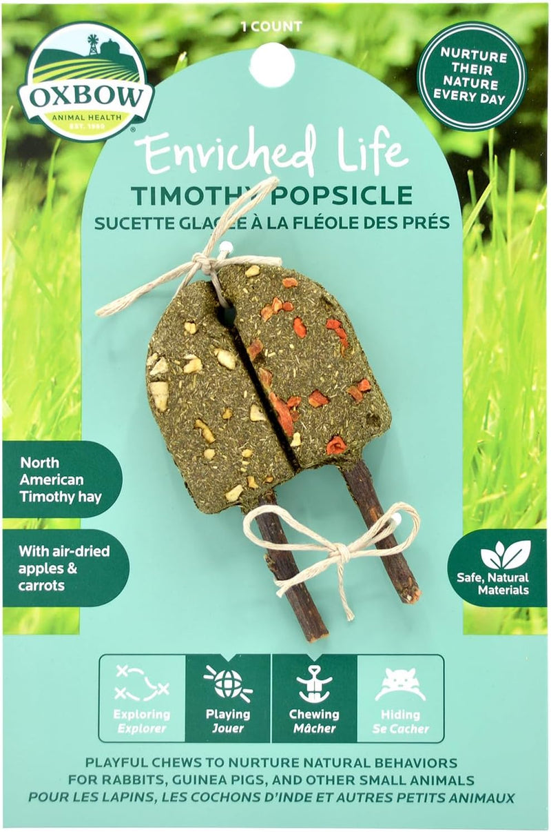 Oxbow Timothy Hay Popsicle, Rabbit Toy & Guinea Pig Chew Toy, Apple Carrot