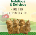 Nylabone Healthy Edibles Natural Puppy Chews Long Lasting Treats for Puppies, Lamb & Apple Flavor, Small/Regular (12 Count)