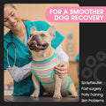 FUAMEY Recovery Suit for Dogs After Surgery,Soft Breathable Dog Bodysuit