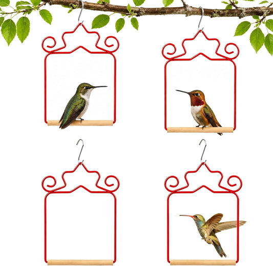 Metal Hummingbird Swing Set of 4