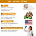 Gargeer 3oz Grassland Tortoise Multivitamins & Minerals Powder. Made in USA