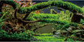48x24 in Arch Branch Aquarium Backdrop Aquatic Plant Fish Tank Background