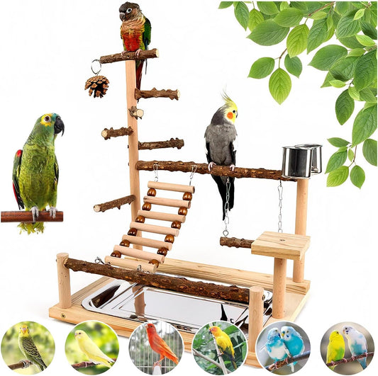 Bird Playground, Parrot Perch Stand, Natural Wood Bird Play Stands for Cockatiel Wood Perch Gym Playpen Ladder with Remo