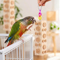 Bird Foraging Toy Parakeet Toys for Budgie, Conure, Cockatiel, Lovebird, and Small to Medium Parrots, 2 Pack Hanging Par
