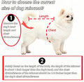 Transparent Dog Rain Poncho for Small Medium Dogs - Thick Waterproof Raincoat with Hidden Leash Hole & Adjustable Snaps,