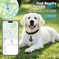 GPS Tracker for Dogs, Smart Dog Tracker with Real-Time Location, for Android and iPhone No Monthly Fee & No SIM Card- Pe