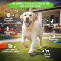 Healthy Dogma Allergy-Sensitive Dog Food & Natural Chews Bundle: PetMix Dehydrated Dog Food (Chicken Dinner, 2 lbs) + Lo