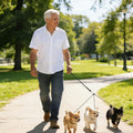 3‑Way No‑Tangle Dog Leash, 360° Swivel Heavy Duty for 2‑3 Pets