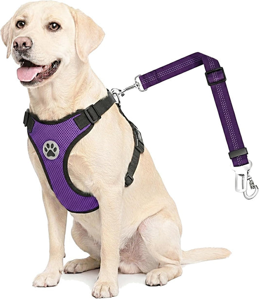 Lukovee Dog Car Harness Seat Belt, Adjustable Mesh Breathable Vest with Elastic Bungee Tether, Soft Padded 2-in-1 Safety Car Harness Seatbelt for Small Medium Large Dogs (Purple,M)