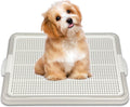 Dog Pee Pad Holder Tray, Puppy Potty Training, 22.5"x16.5", PP Plastic, Snap Lock, 4 Colors (Gray)