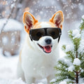Dog Goggles Small Breeds, Anti-UV Small Dog Sunglasses for Outdoor Driving Cycling Riding, Windproof Sandproof Dig Eye P