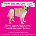 Bodhi Dog Disposable Female Dog Diapers - Super Absorbent Dog Diapers for Female Heat Cycle - Adjustable Fit Pee Wraps f