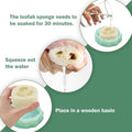 5Pcs Dubia Cockroach Water Basin Loofah & Resin Food Bowl Container Set, Comfortable Habitat for Roaches Live Isopods Sp