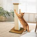 SmartCat Pioneer Pet Ultimate Scratching Post (Beige)