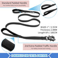 Strong Heavy Duty Dog Leash - 6ft Reflective Nylon Training Leash with Soft Padded Double Handle & Auto Lock Frog Clip - Safety Traffic Control for Large Medium Small Dogs No Pull Walk Black Black,6ft