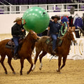 Parelli Green 42" - 44" Durable Inflatable Bright Bouncing Ball | Equine Training & Play Tool - Pony & Horse Toy for Cur