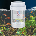 Pawfly Breeder Box for Fish Tank, Aquarium Fish Breeding Box, Floating Guppy Breeder Box, Baby Fish Separator for Aquari