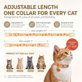2 Pack Cotton Cat Collar Cute Kitten Collar White Puppy and Orange Pumpkin