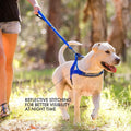 EzyDog Quick Fit Dog Harness, Soft Neoprene Padding - Medium, Black