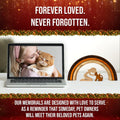 Capti Rainbow Bridge Cat Memorial Gifts - I'll Meet You at The Rainbow Bridge - Pet Loss Gifts, Bereavement, Sympathy Keepsake Cat Mom Gifts for Loss of Pet
