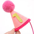 Pet Birthday Hat with Interchangeable Numbers 1-10 | Adjustable Pet Party Cone Hat for Dogs & Cats | Puppy Birthday Phot