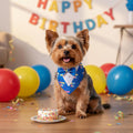 ADOGGYGO Birthday Dog Bandana with Bowtie, Blue Boy Dog Tuxedo