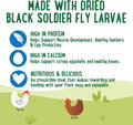 Manna Pro Farmhouse Favorites Fly & Fruit Feather Support Poultry Treat, Duck Treat, Gamebirds, Scratch, Insect & Fruit 
