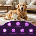 Effectively | Bitter Apple Spray for Dogs, 100ml No Chew Spray for Dogs to Stop Chewing, Preventing Puppies from Damagin