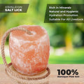 ZK Himalayan Salt Lick for Horses, Livestock– (3-4 lbs) (Pack of 3 Natural Mineral Salt Block for Goats, Cattle & Deer w