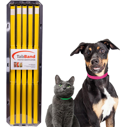 TabBand Max Premium Pet ID Collars - 20 Inch - 500 Count - Yellow - Waterproof, Writable, Tear-Resistant Identification Bands with Easy Release for Vets, Shelters, and Boarding Facilities.