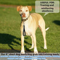 Short Dog Leash - 9 Inch Dogs Lead Grab Tab Heavy Duty Waterproof PVC Dog Training Traffic Leashes for Safety Control Be