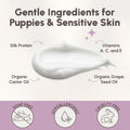 Best Shot Scentament Spa Oatmeal Protein Conditioner, Skin Care Product for Dogs and Cats, Hypoallergenic Puppy Supplies, Lemon Vanilla, 1 Gallon