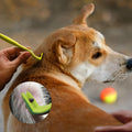 Tick Remover Tool - Safe & Easy Tick Remover for Humans and Pets - Effective Tick Remover for Cats and Dogs - Small to XL Tick Removal Tool for Dogs - Twist & Pull Tick Removal Kit (Set of 5)