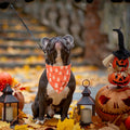 PTDECOR Halloween Dog Bandana, Ghost Pumpkin Dog Scarf