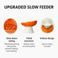 Ceramic Slow Feeder Bowl for Cats and Small Dogs, Elevated Tilted Pet Food Dish, Whisker Friendly Anti-Vomit Design, Hea