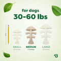 Benebone Plant-Based Fishbone Toy for Modest Chewers, Real Salmon