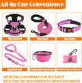 LOBEVE No Pull Dog Harness, Collar & Leash Set | Includes Dog Seat Belt, Collapsible Bowls & Poop Bag Dispenser. Ideal for Training, Walking, Hiking. Fits Small to Large Dogs(Pink-M)