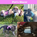 Bunny Harness and Leash Set Escape Proof, Rabbit Harness Blue L