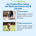 Pet Wellbeing More Mushrooms Bundle for Cats - Immune System Support
