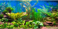 48x24 in Aquatic Plant Aquarium Backdrop Riverbed Fish Tank Background