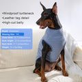 BAOBICUTE 2 Pack Dog Sweater Clothes Soft Velvet Fabric Coat Dog Sweatshirt Sweaters for Small Medium Large Dogs Pullover Turtleneck Pet Puppy Clothes Cold Weather Warm Puppy Sweater