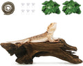Hamiledyi Bearded Dragon Driftwood for Reptile, 10in Snake Climbing Branch
