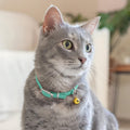 Soft Leather Cat Collar with Safety Elastic Strap