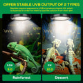 High Intensity UVB Reptile Light Bulb 5.5W 5.0 Full Spectrum UVA UVB for Reptiles simulating Sunlight Promote Synthesis 